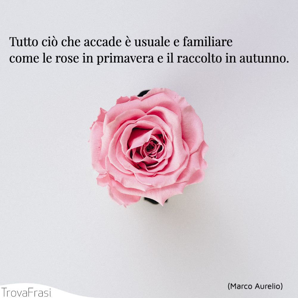 Frasi Sulla Primavera E La Rinascita Della Natura Trovafrasi