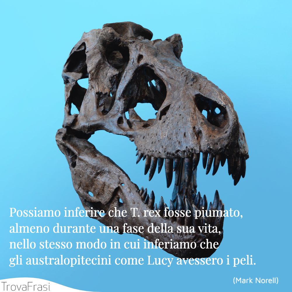 Possiamo inferire che T. rex fosse piumato, almeno durante una fase della sua vita, nello stesso modo in cui inferiamo che gli australopitecini come Lucy avessero i peli.