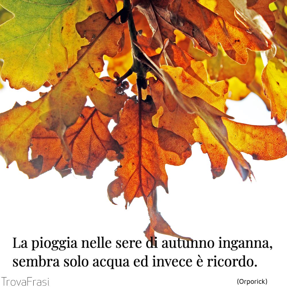 Frasi Sull Autunno Quando L Estate Ci Lascia Trovafrasi