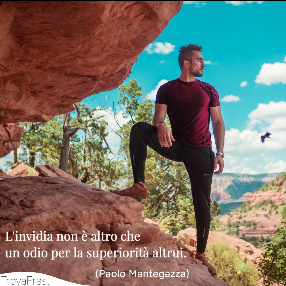 L'invidia non è altro che un odio per la superiorità altrui.