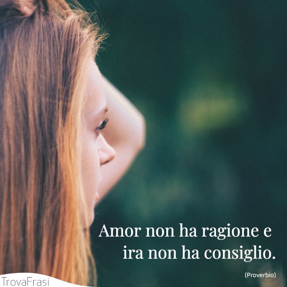 Amor non ha ragione e ira non ha consiglio.