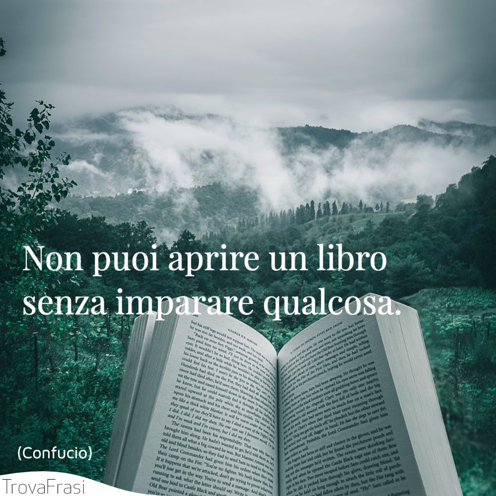 Non puoi aprire un libro senza imparare qualcosa.
