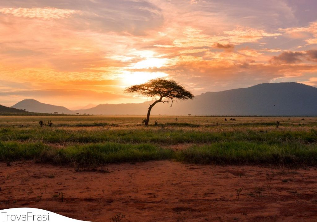 frasi sull'africa