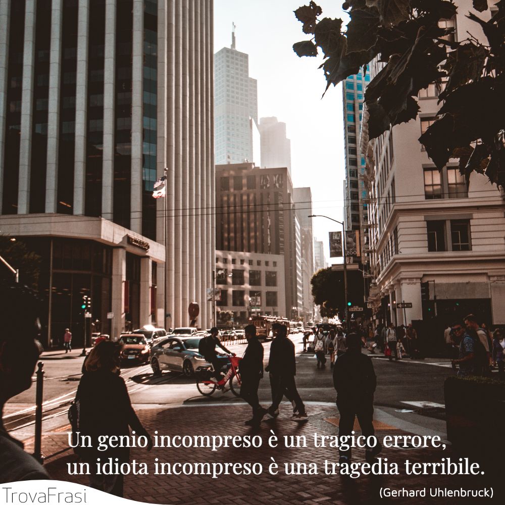 Un genio incompreso è un tragico errore, un idiota incompreso è una tragedia terribile.