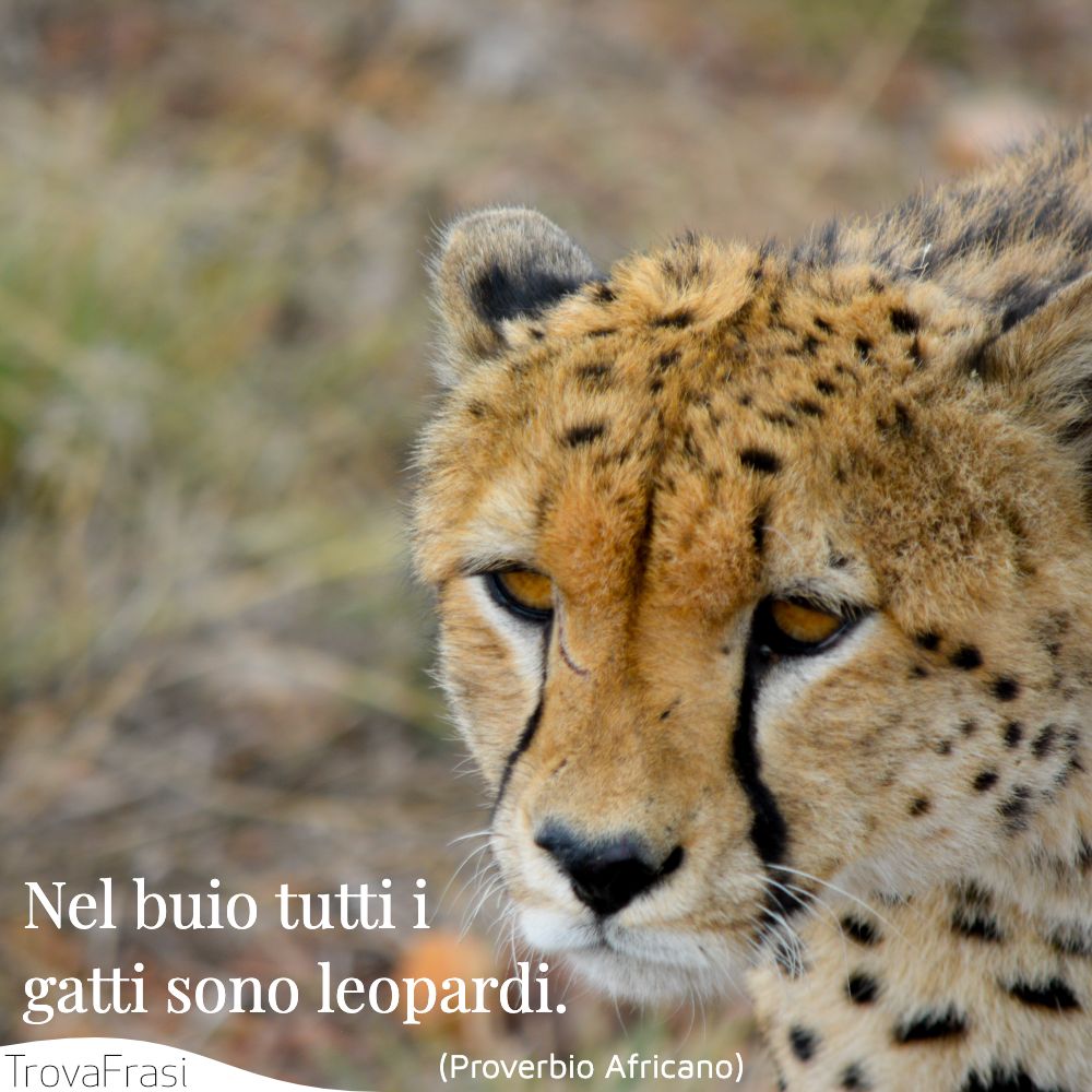 Frasi Sull Africa Gioiello E Culla Dell Umanita Trovafrasi