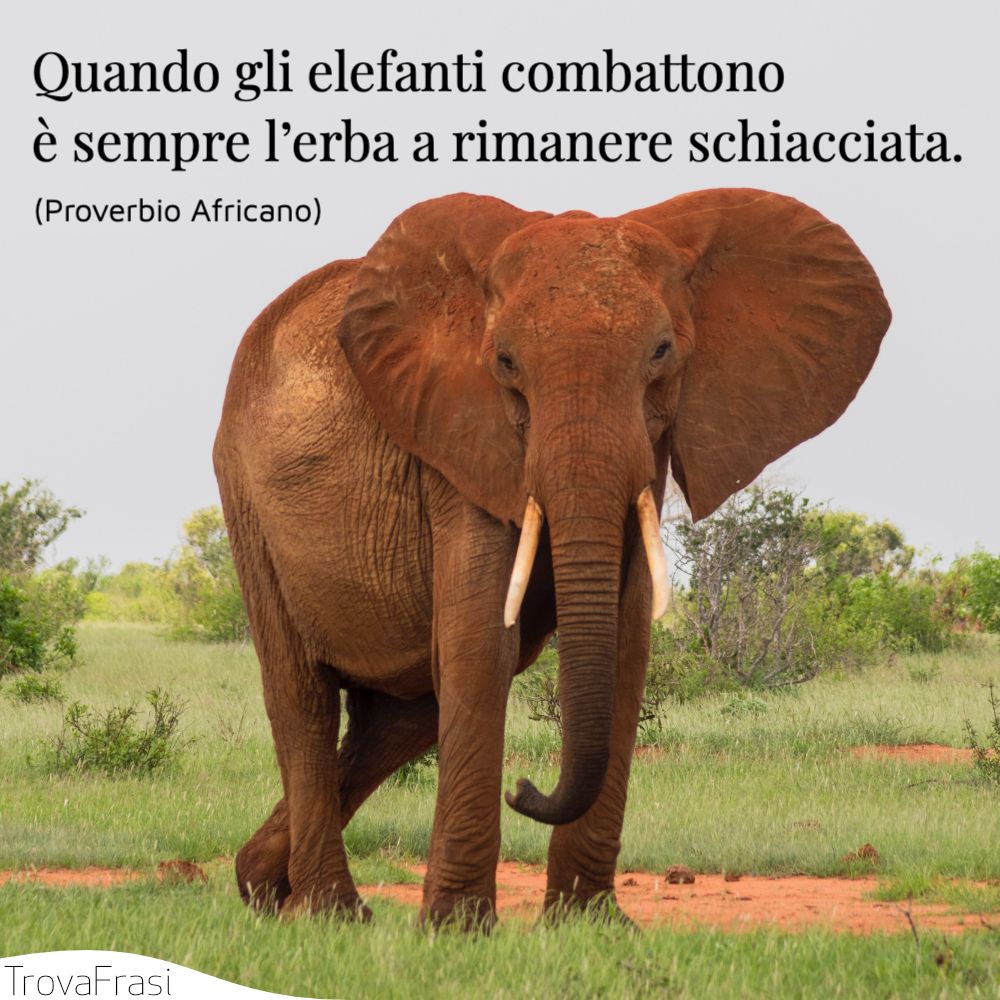 Frasi Sull Africa Gioiello E Culla Dell Umanita Trovafrasi