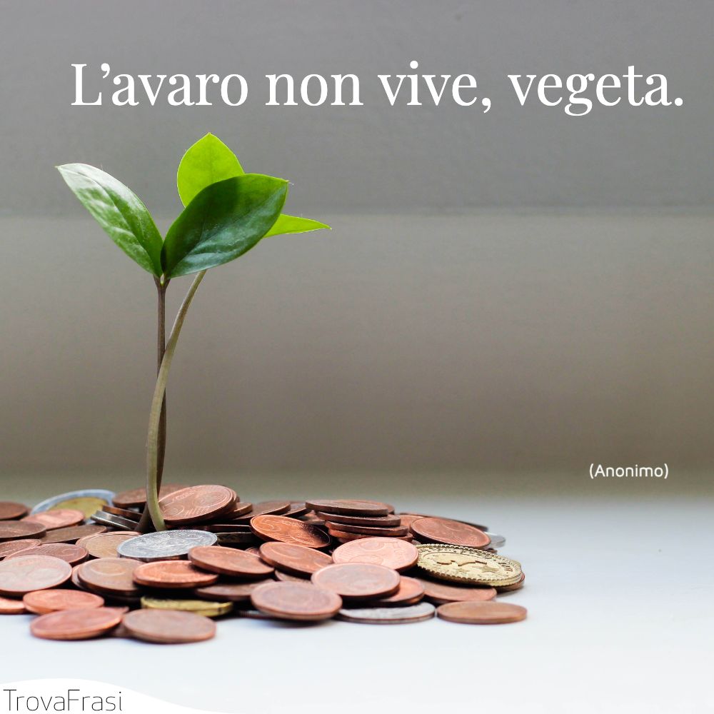 L’avaro non vive, vegeta.