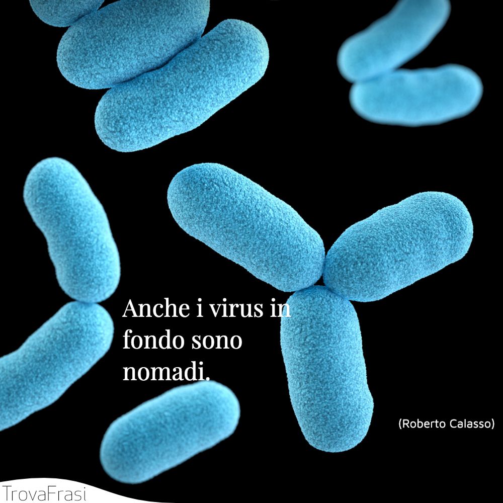 Anche i virus in fondo sono nomadi.