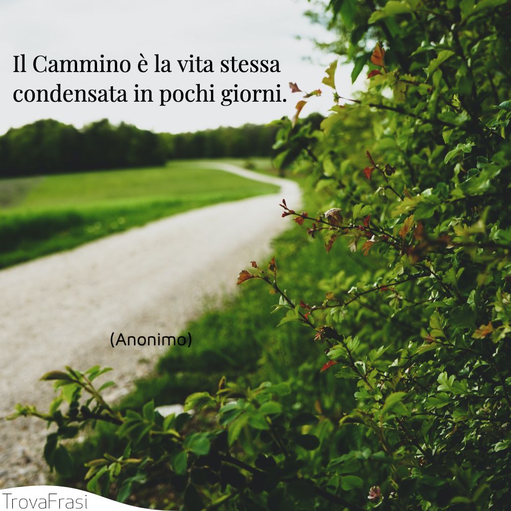 Il Cammino è la vita stessa condensata in pochi giorni.