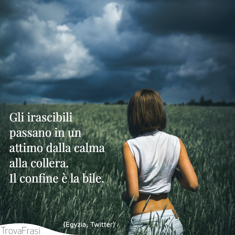 Gli irascibili passano in un attimo dalla calma alla collera.Il confine è la bile.