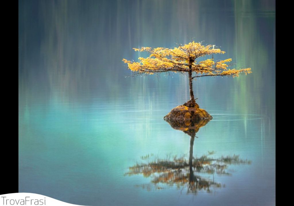 frasi sulle zen
