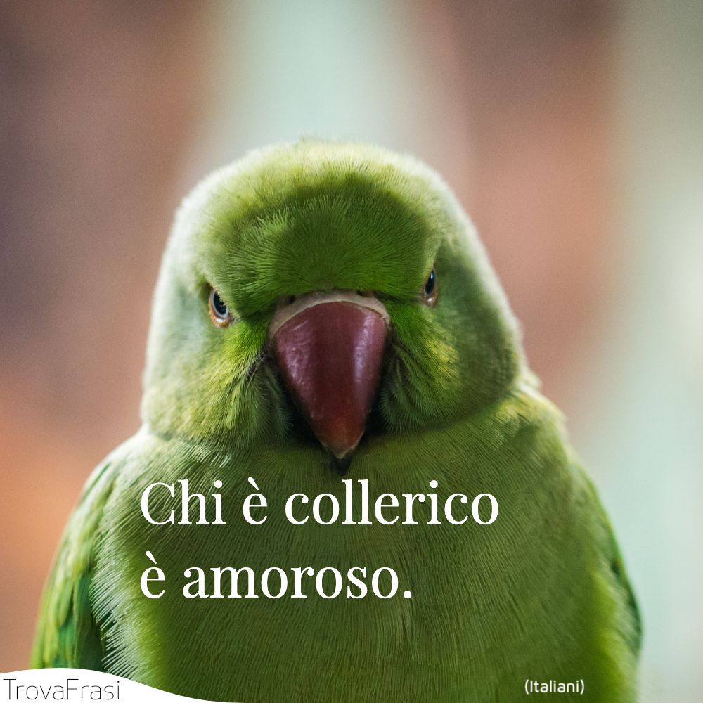 Chi è collerico è amoroso.