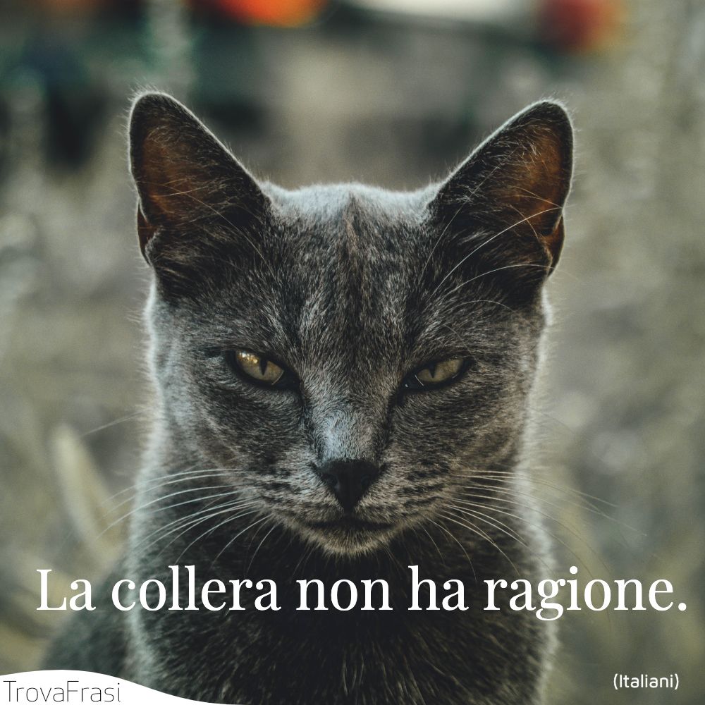 La collera non ha ragione.