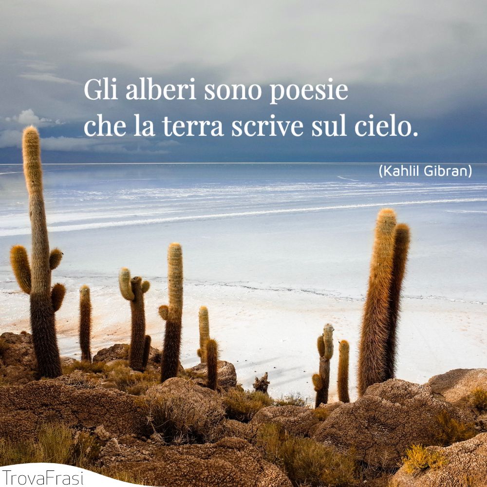 Gli alberi sono poesie che la terra scrive sul cielo.