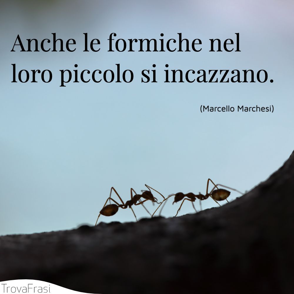 Anche le formiche nel loro piccolo si incazzano.
