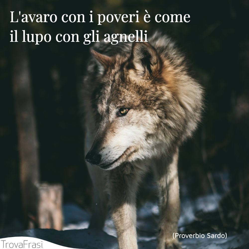 L'avaro con i poveri è come il lupo con gli agnelli