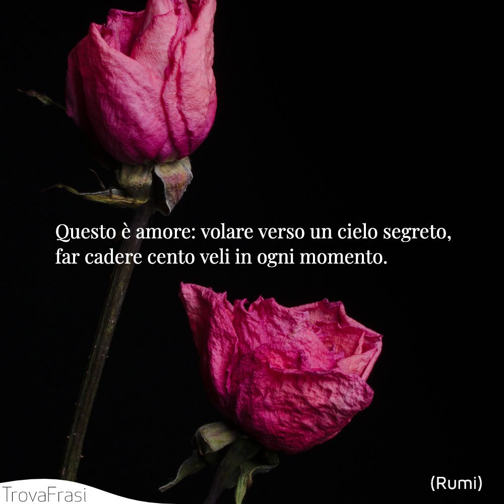 Questo è amore: volare verso un cielo segreto, far cadere cento veli in ogni momento.