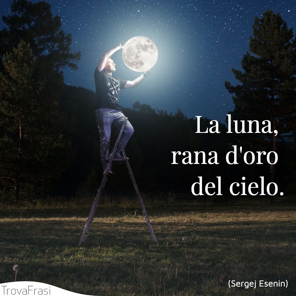 La luna, rana d'oro del cielo.