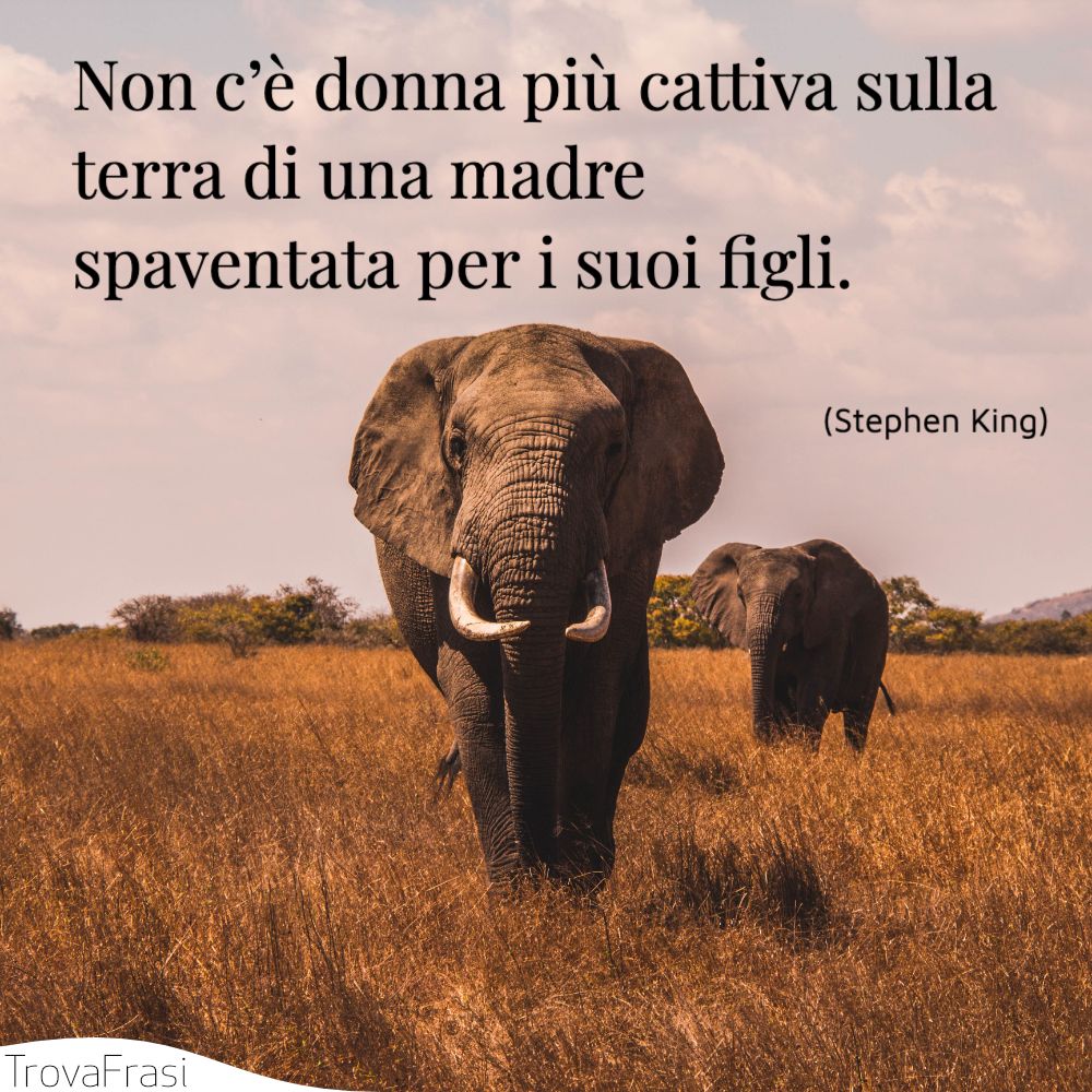 Non c’è donna più cattiva sulla terra di una madre spaventata per i suoi figli.