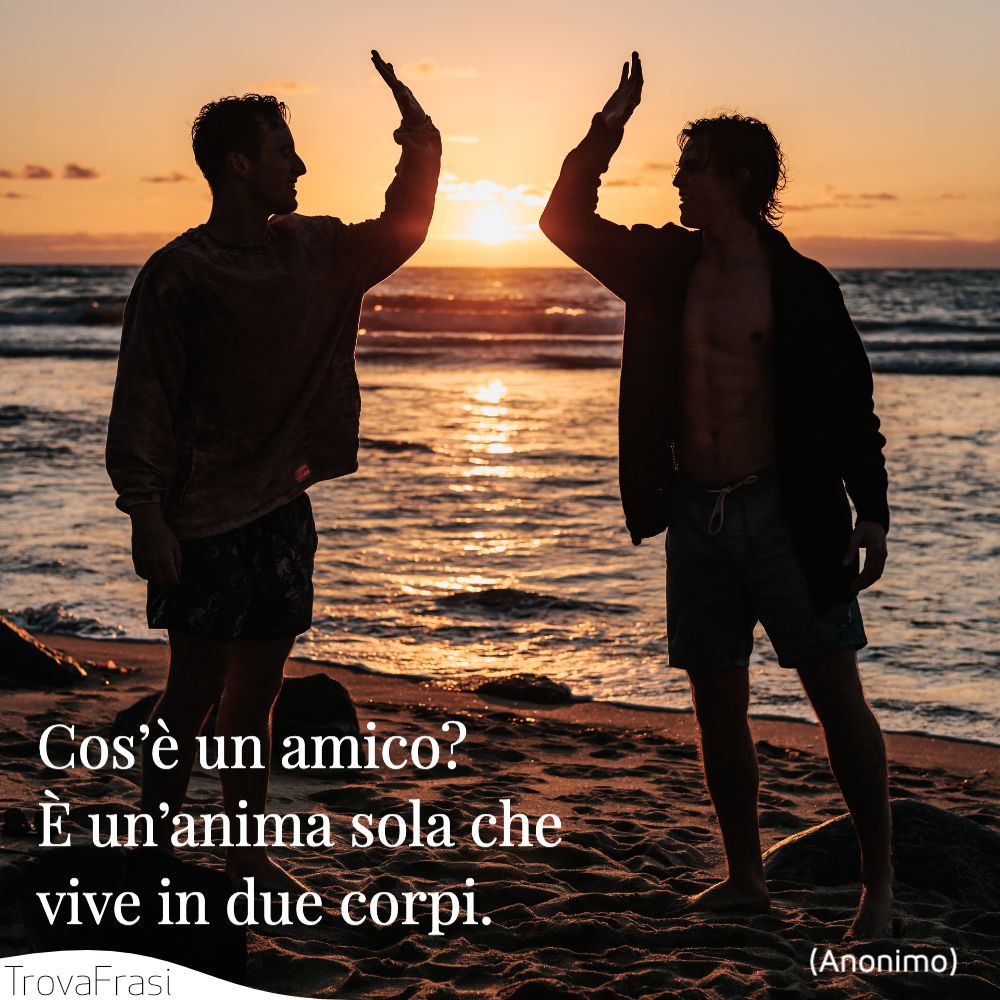 Cos’è un amico? È un’anima sola che vive in due corpi.