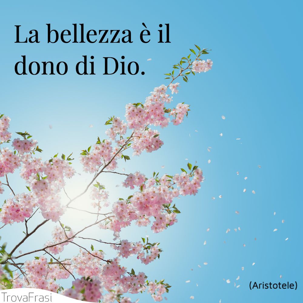 La bellezza è il dono di Dio.