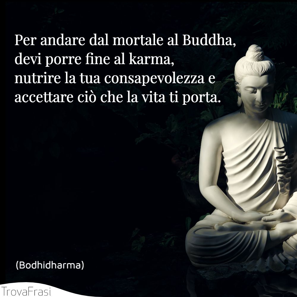 Per andare dal mortale al Buddha, devi porre fine al karma, nutrire la tua consapevolezza e accettare ciò che la vita ti porta.