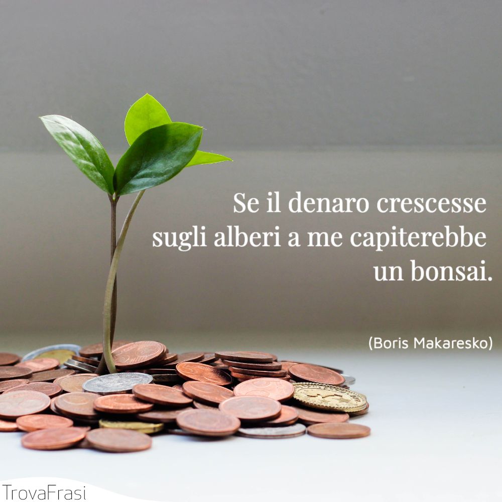 Se il denaro crescesse sugli alberi a me capiterebbe un bonsai.