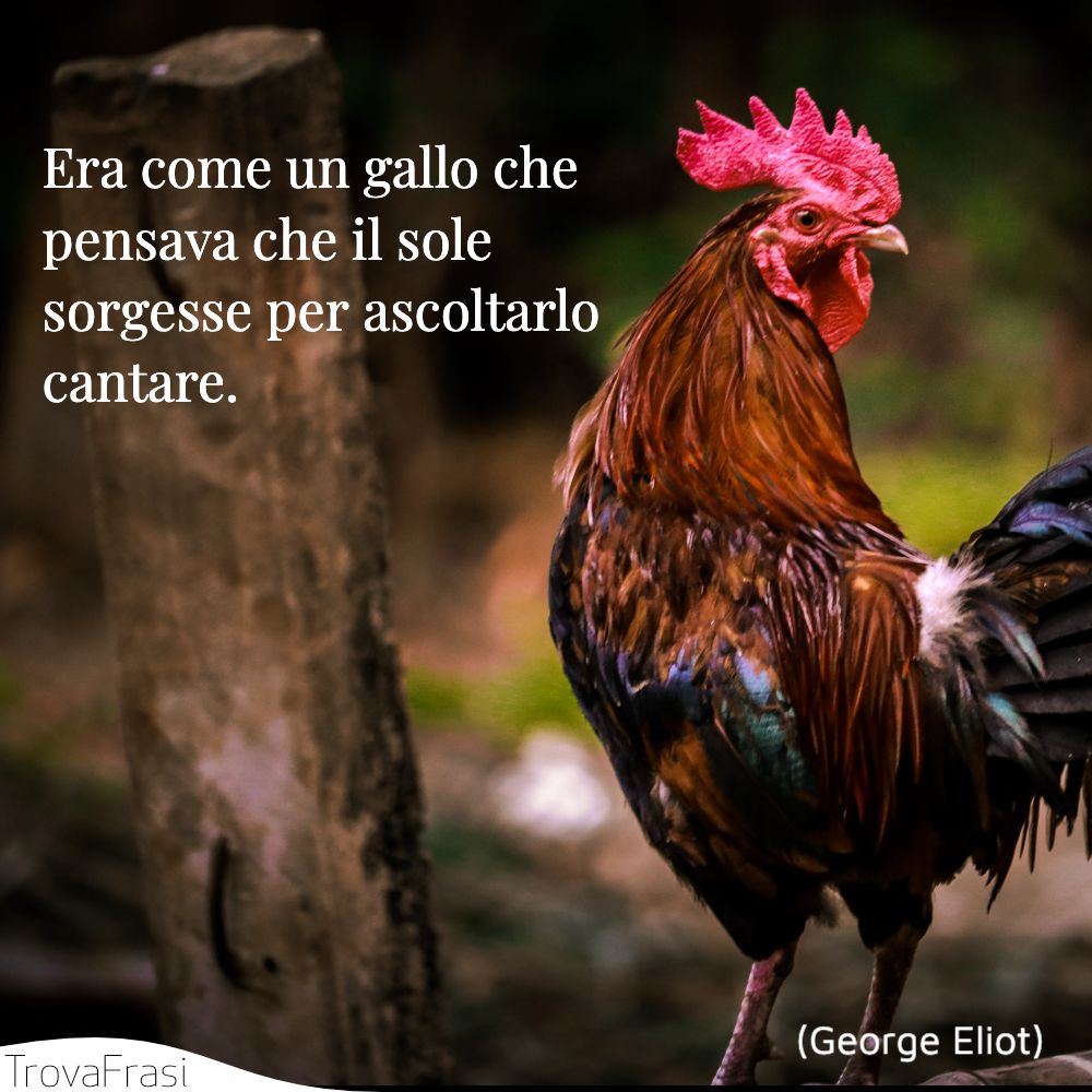 Era come un gallo che pensava che il sole sorgesse per ascoltarlo cantare.