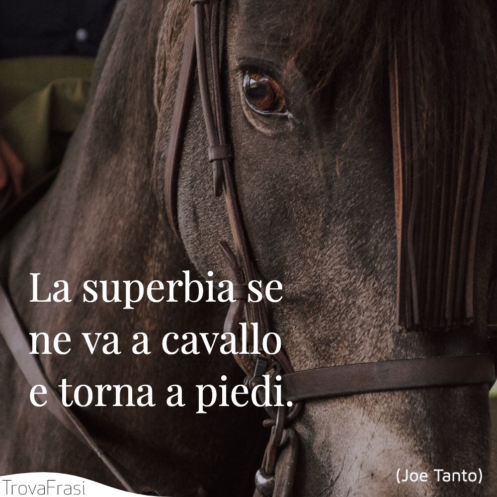 La superbia se ne va a cavallo e torna a piedi.