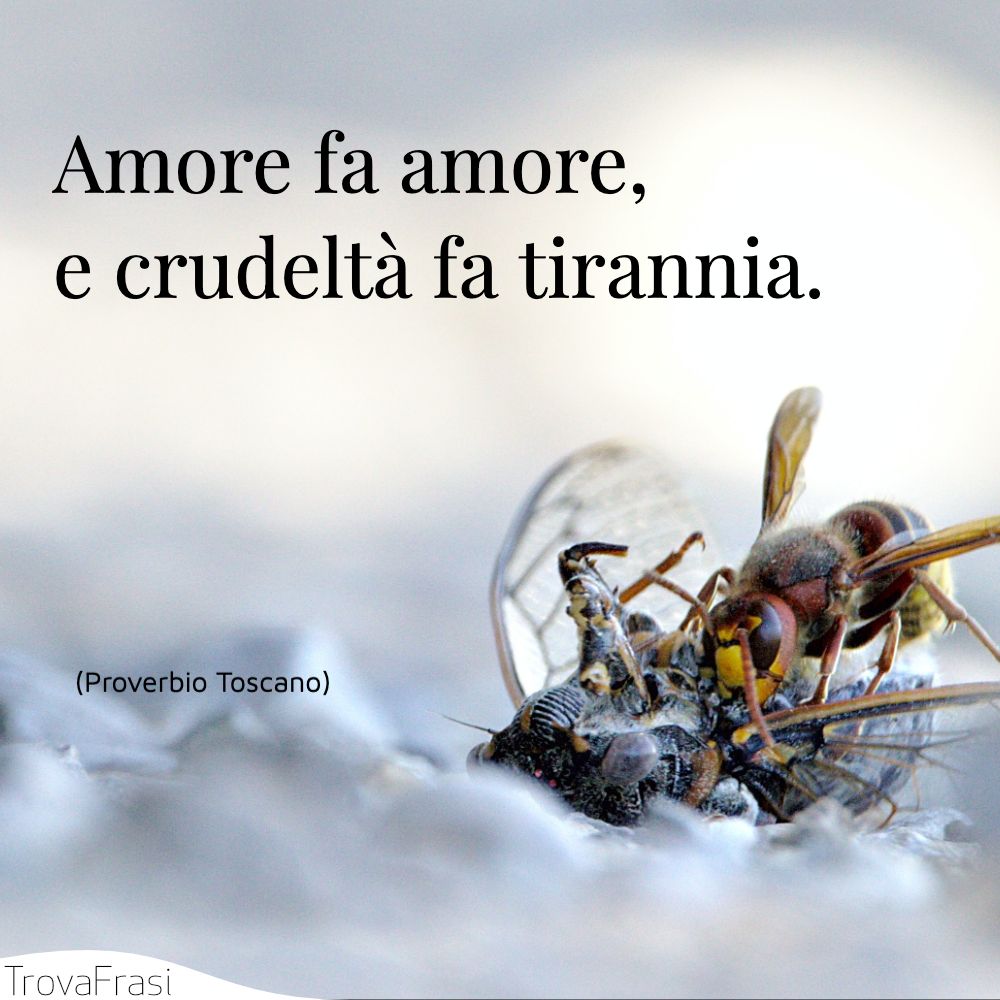 Amore fa amore, e crudeltà fa tirannia.