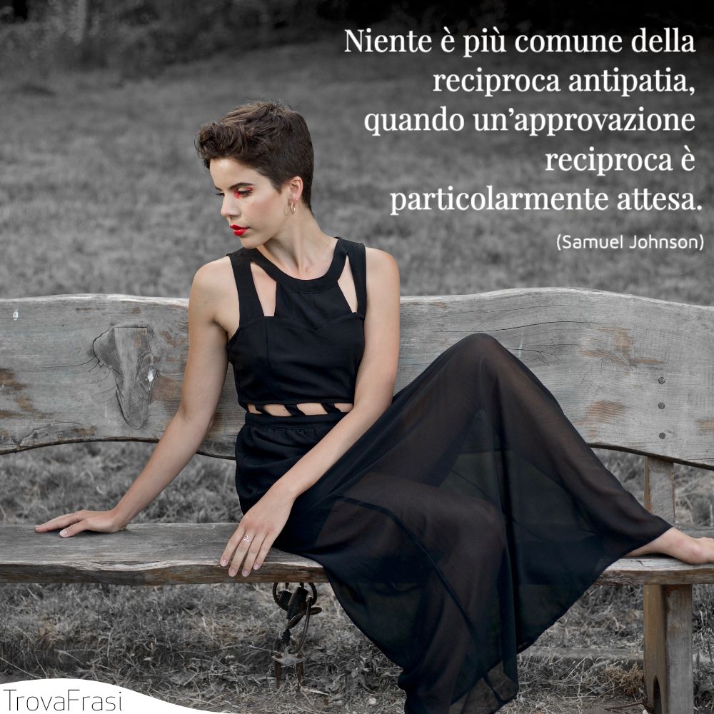 Niente è più comune della reciproca antipatia, quando un’approvazione reciproca è particolarmente attesa.