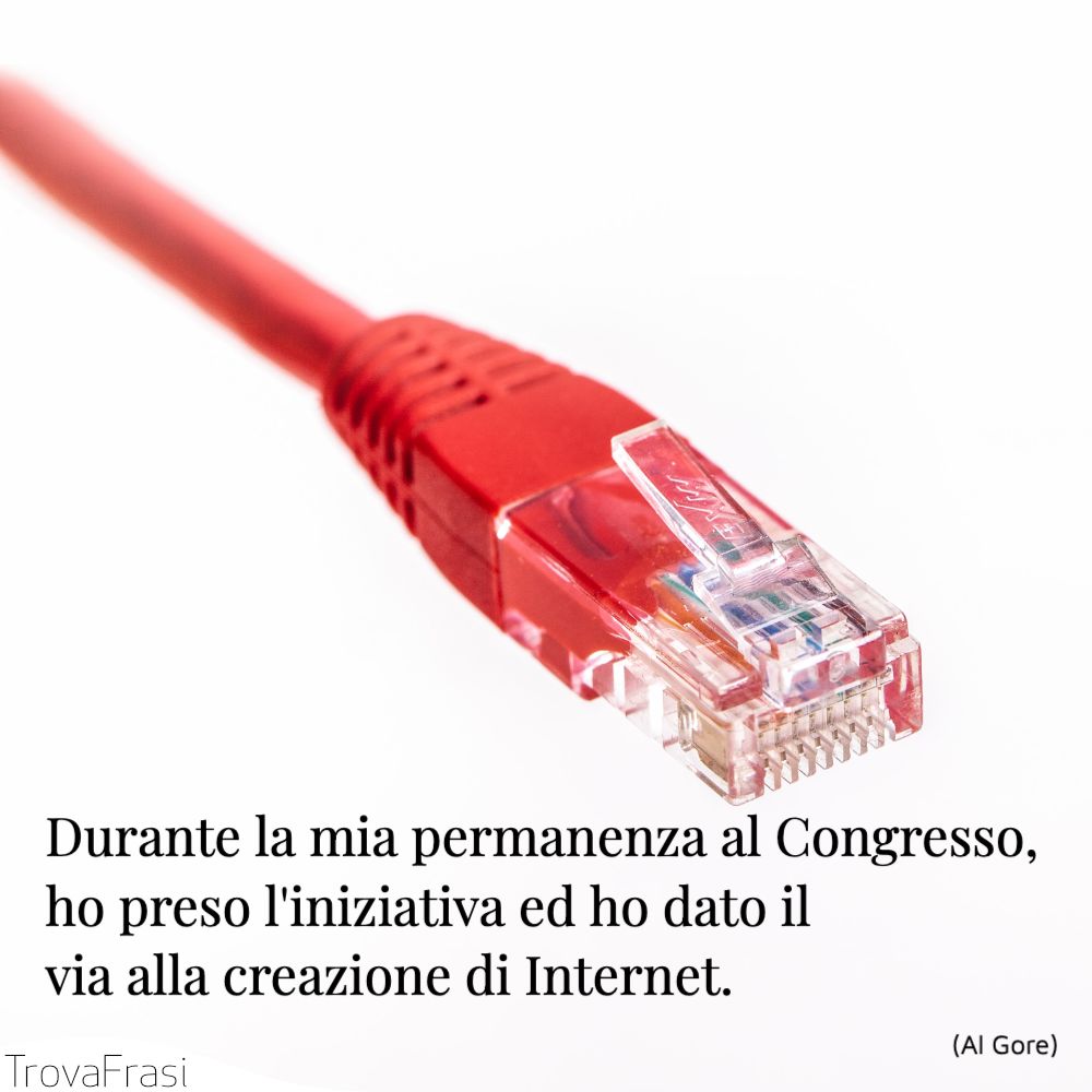 Durante la mia permanenza al Congresso, ho preso l'iniziativa ed ho dato il via alla creazione di Internet.