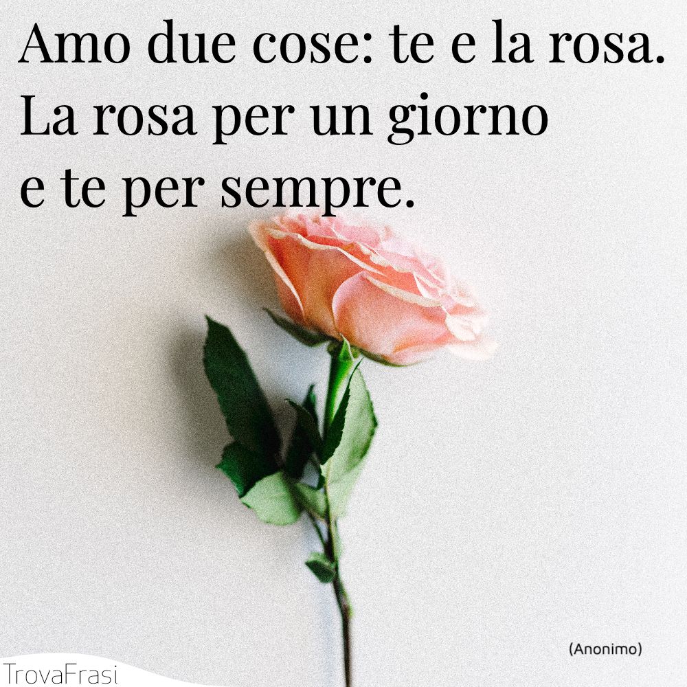 Amo due cose: te e la rosa. La rosa per un giorno e te per sempre.