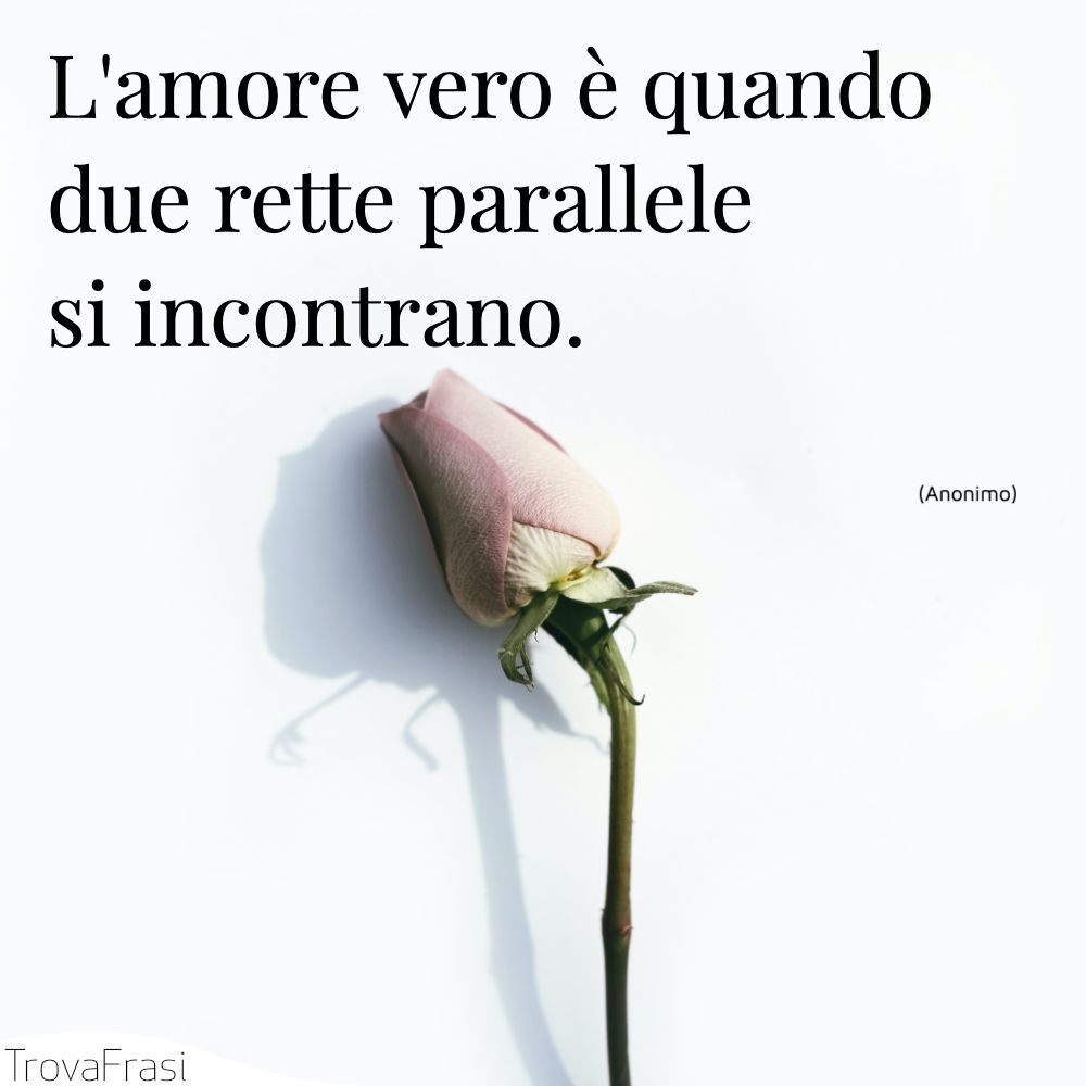L'amore vero è quando due rette parallele si incontrano.