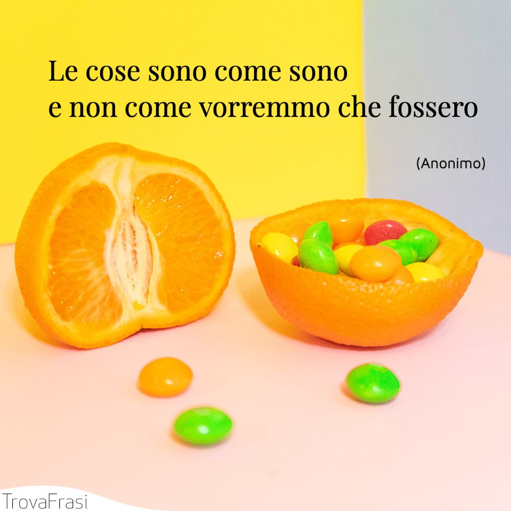 Le cose sono come sono e non come vorremmo che fossero