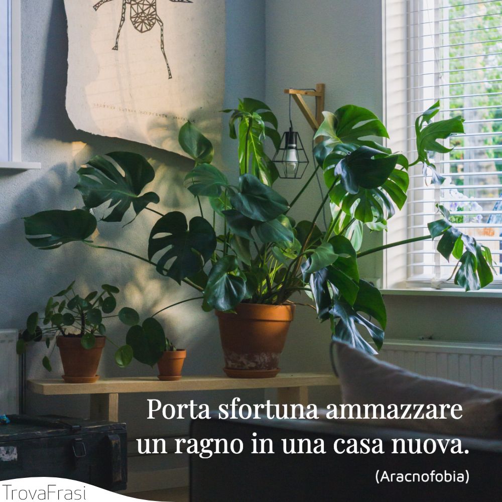 Porta sfortuna ammazzare un ragno in una casa nuova.