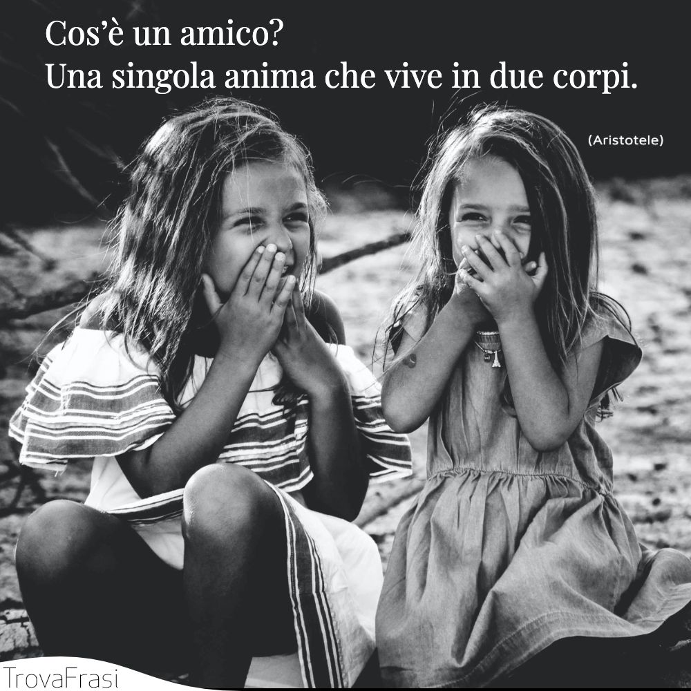 Cos’è un amico? Una singola anima che vive in due corpi.