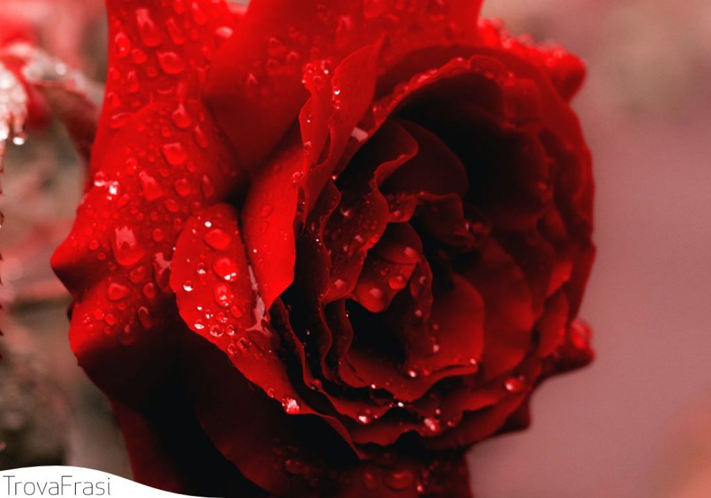 citazioni romantiche