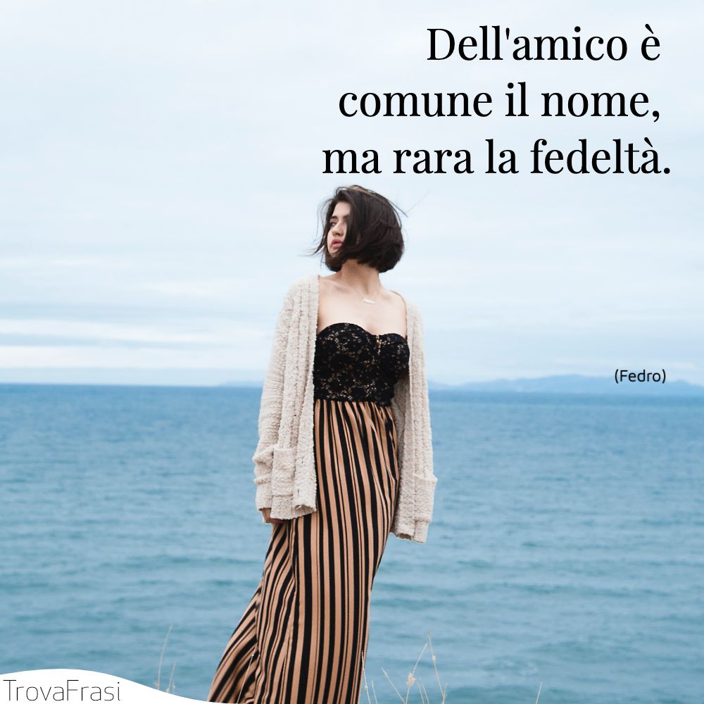 Dell'amico è comune il nome, ma rara la fedeltà.