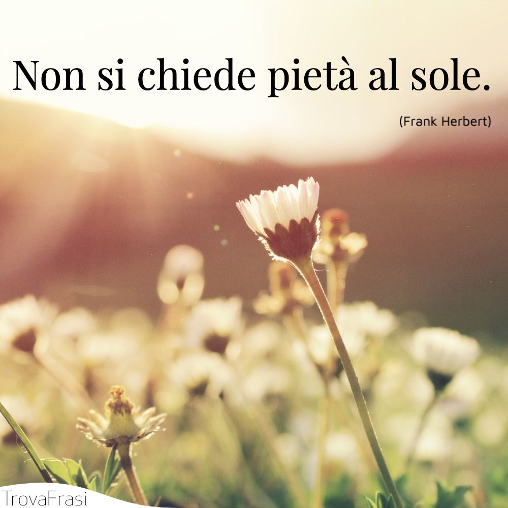 Non si chiede pietà al sole.