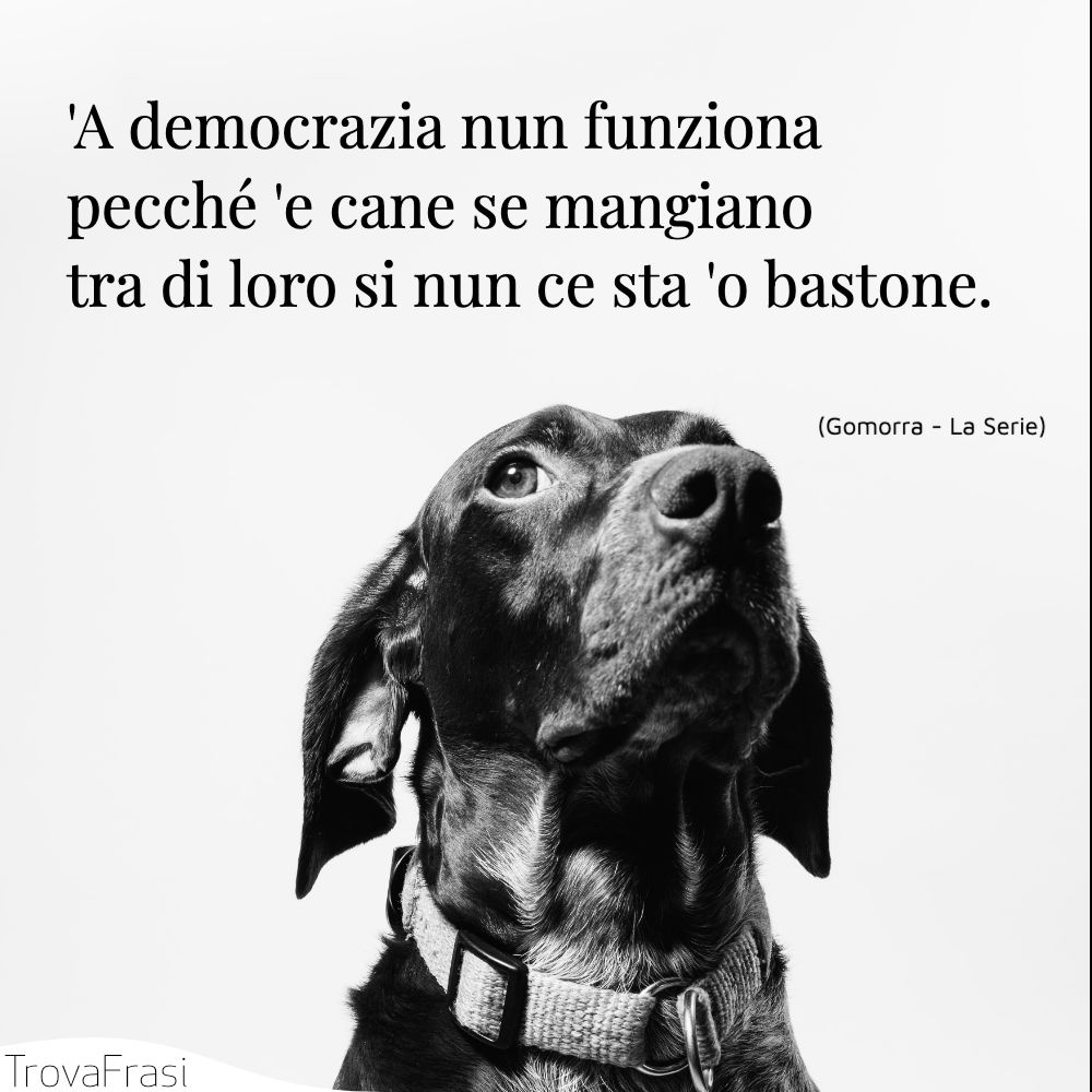 'A democrazia nun funziona pecché 'e cane se mangiano tra di loro si nun ce sta 'o bastone.