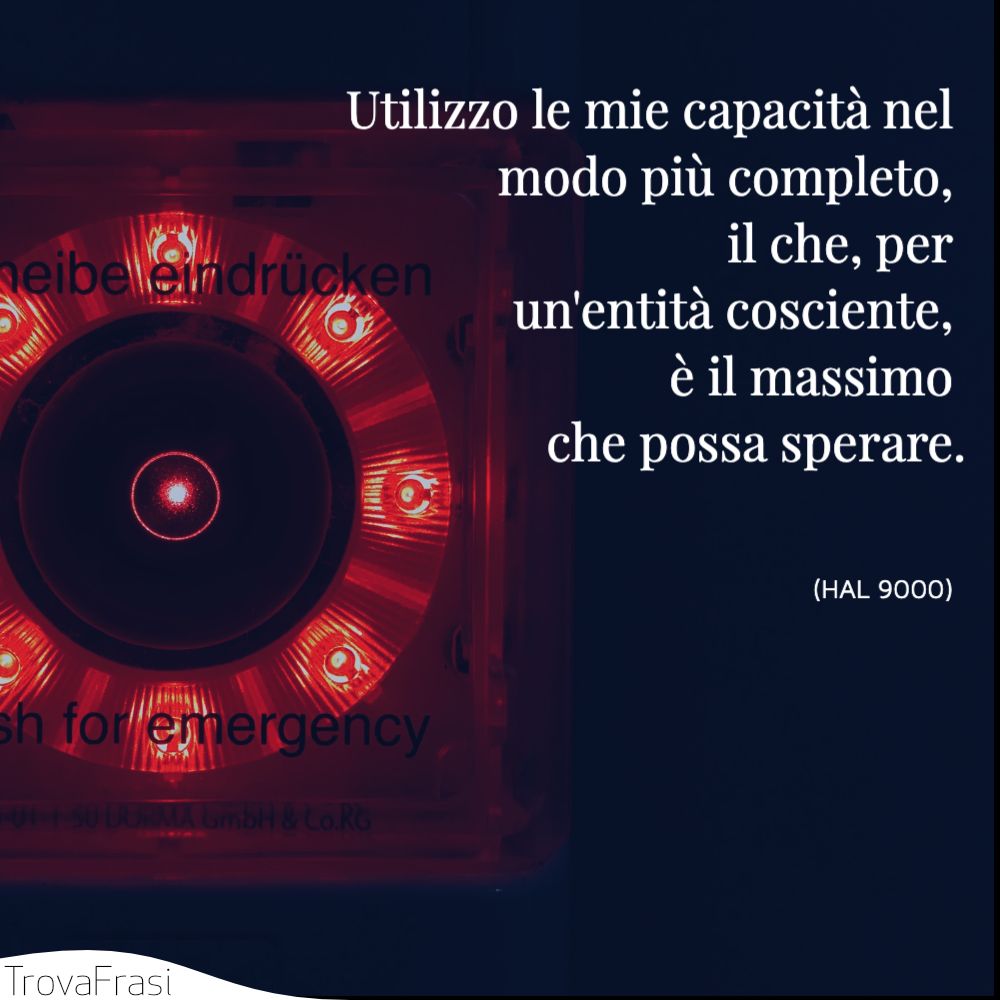 Utilizzo le mie capacità nel modo più completo, il che, per un'entità cosciente, è il massimo che possa sperare.