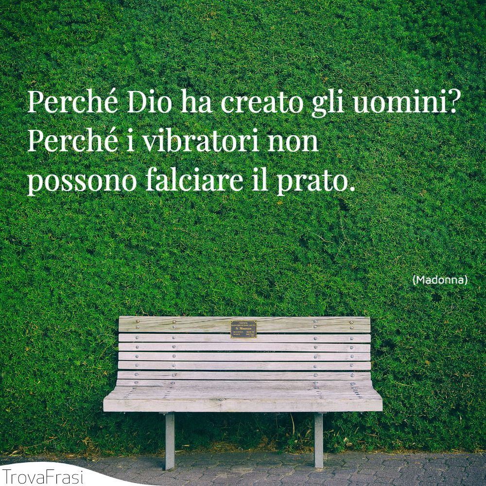 Perché Dio ha creato gli uomini? Perché i vibratori non possono falciare il prato.