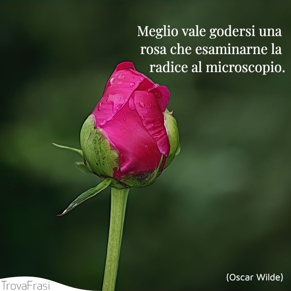 Le Frasi Sui Fiori I Gioielli Colorati Della Natura Trovafrasi