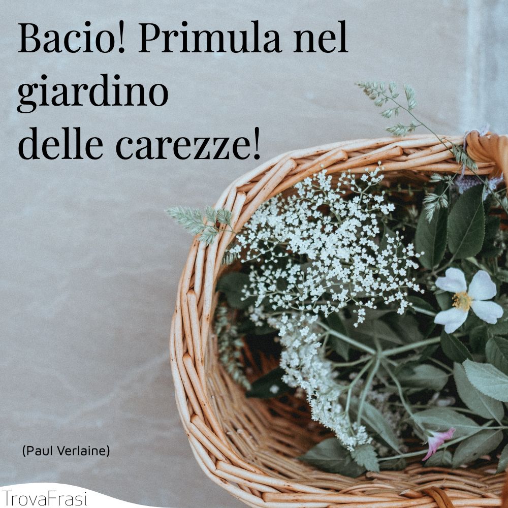 Bacio! Primula nel giardino delle carezze!