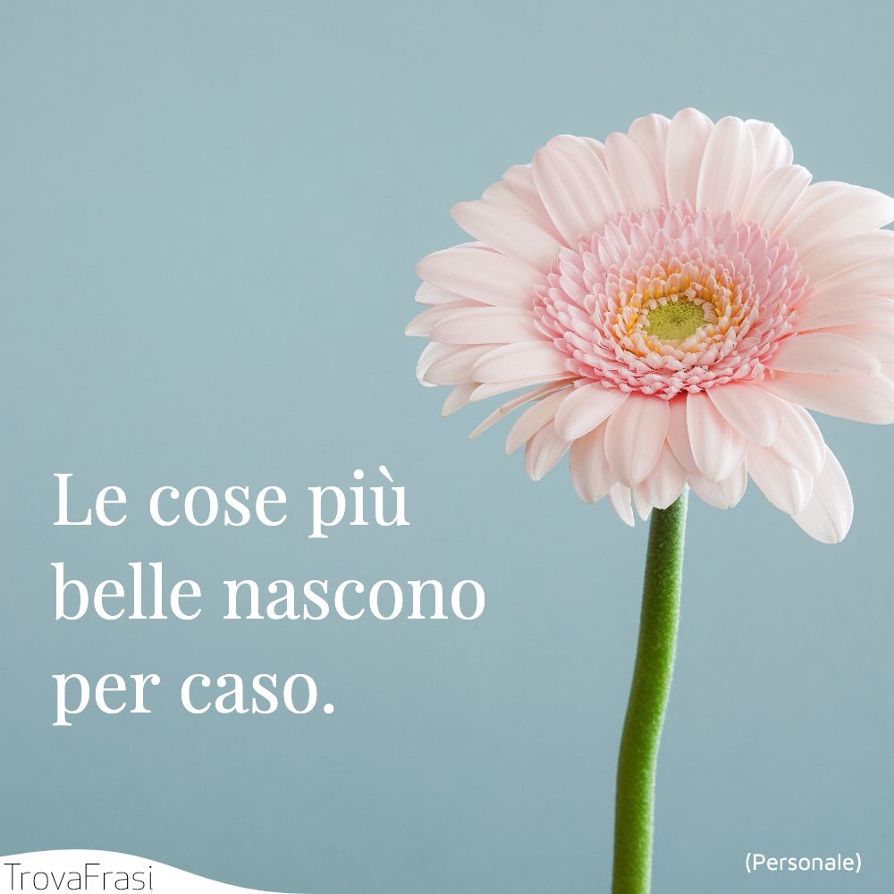 Le cose più belle nascono per caso.