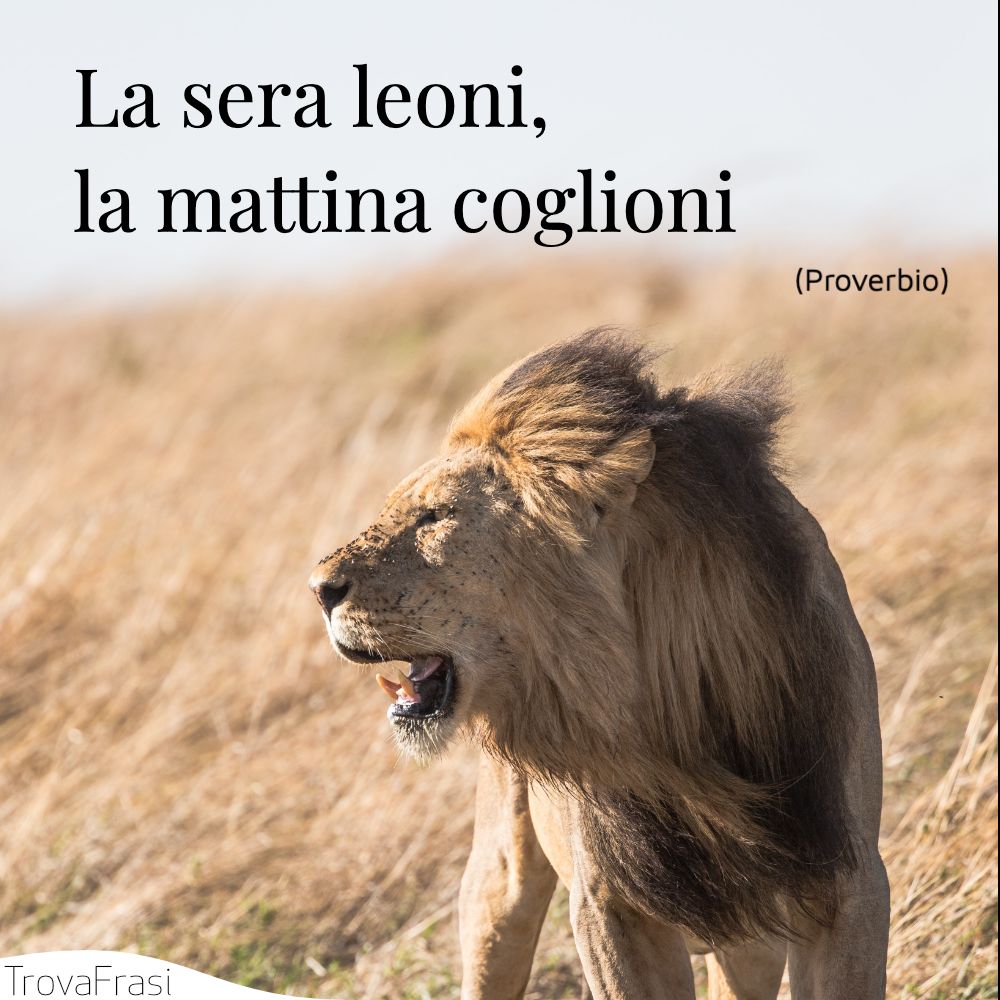 La sera leoni, la mattina coglioni
