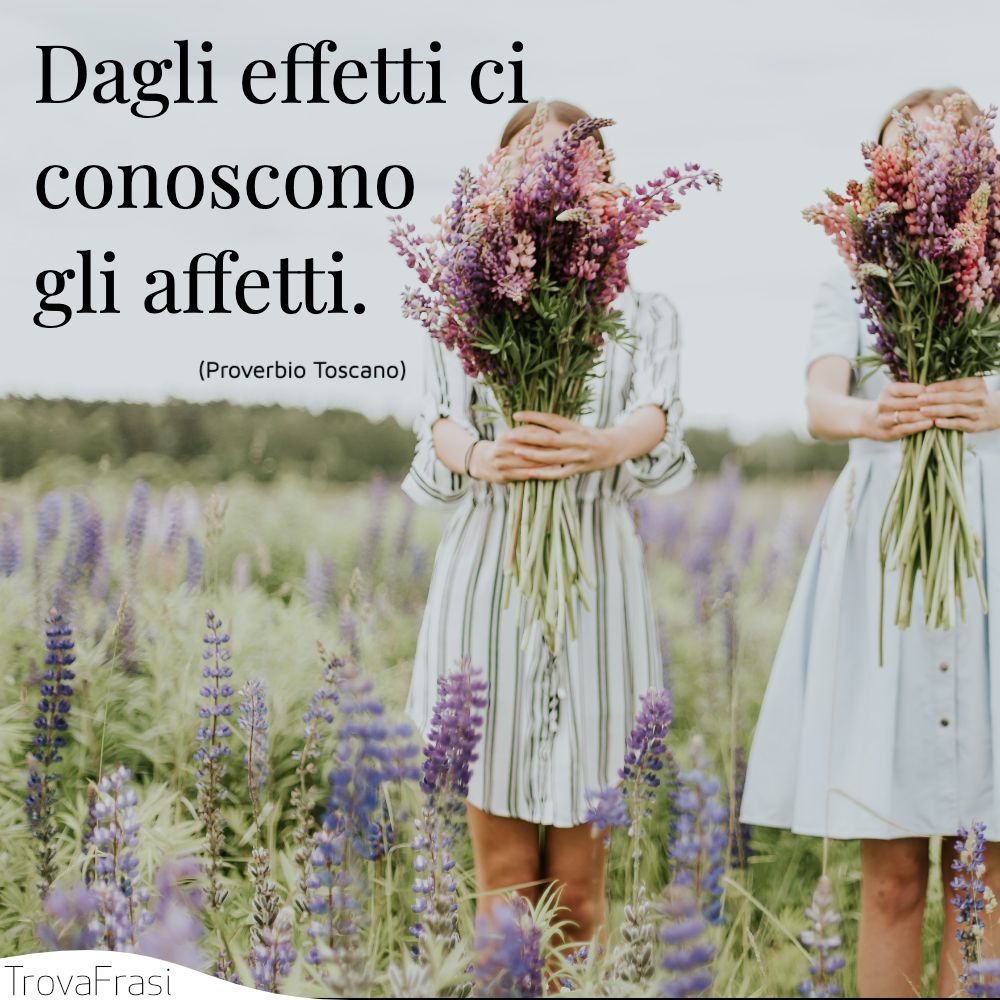 Dagli effetti ci conoscono gli affetti.