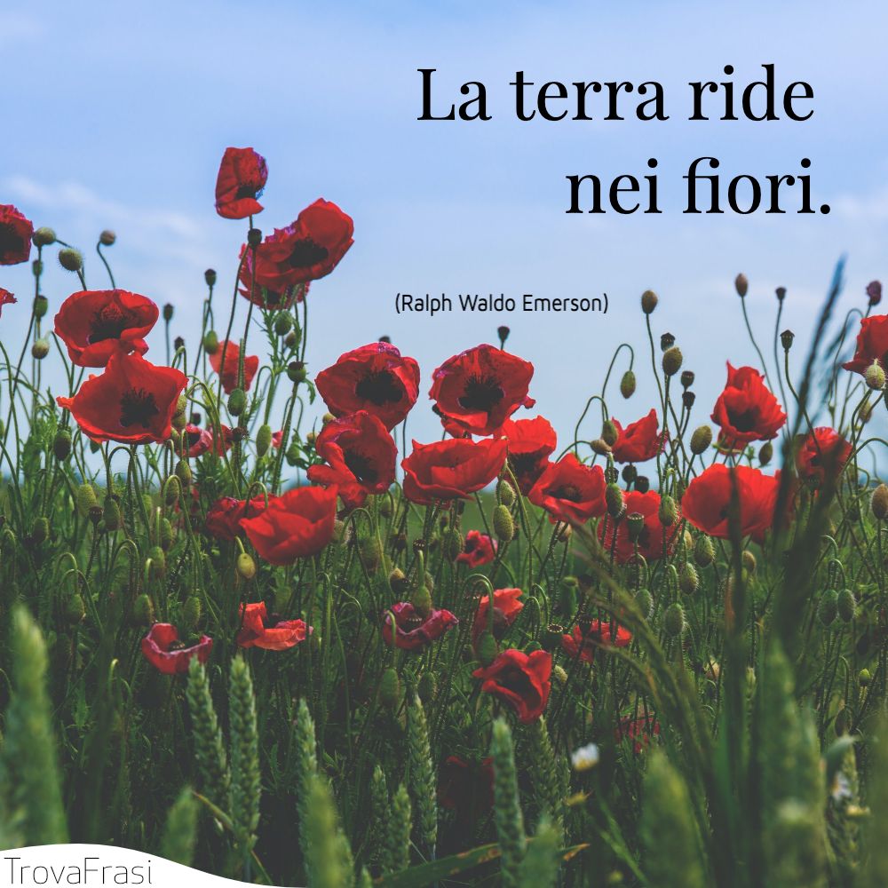 La terra ride nei fiori.