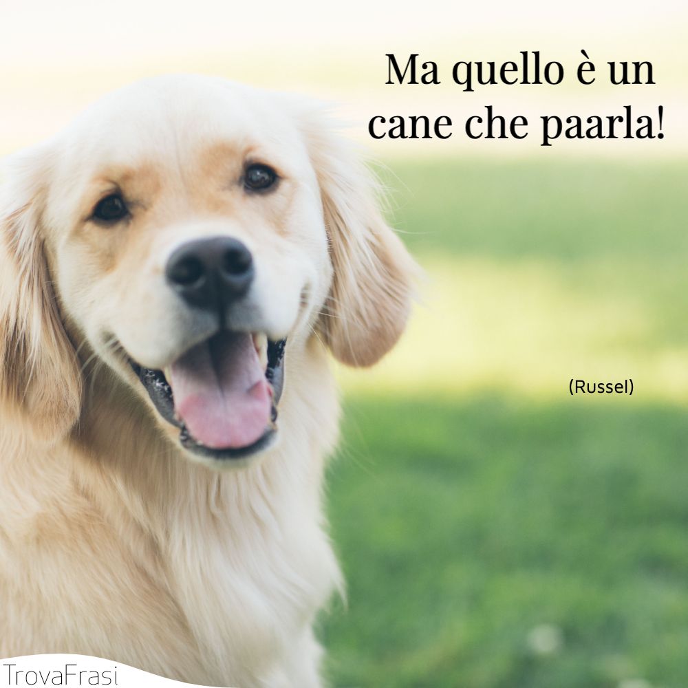 Ma quello è un cane che paarla!
